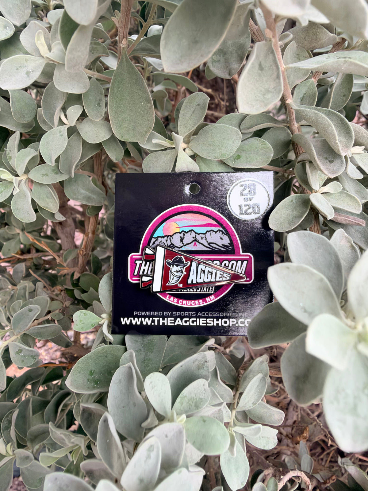 Collectable Gameday Pins