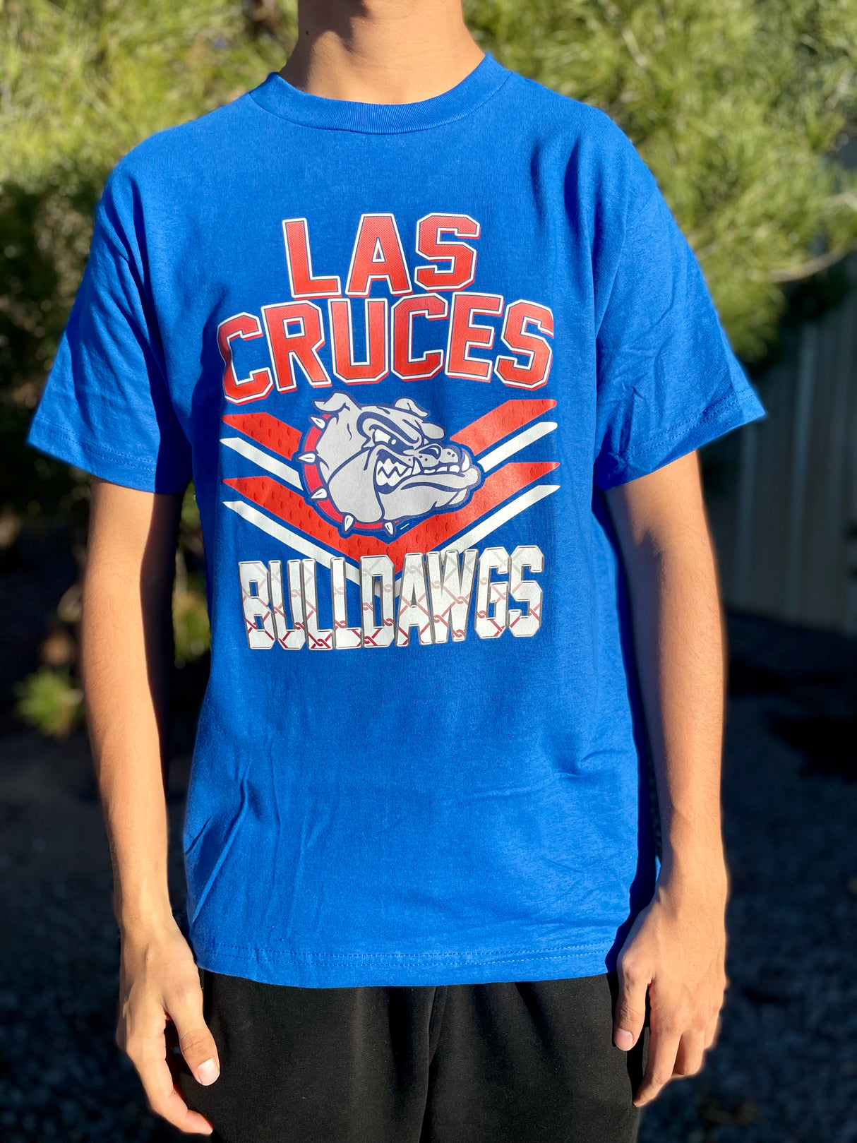 LCHS DAWG FENCE TEE