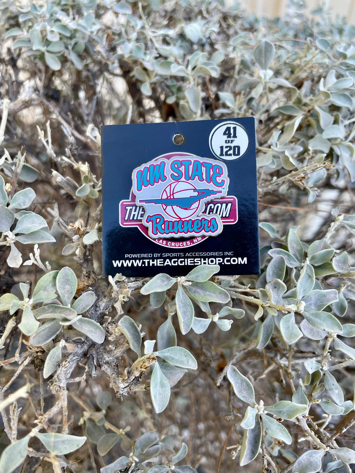 NM State Runners Pin