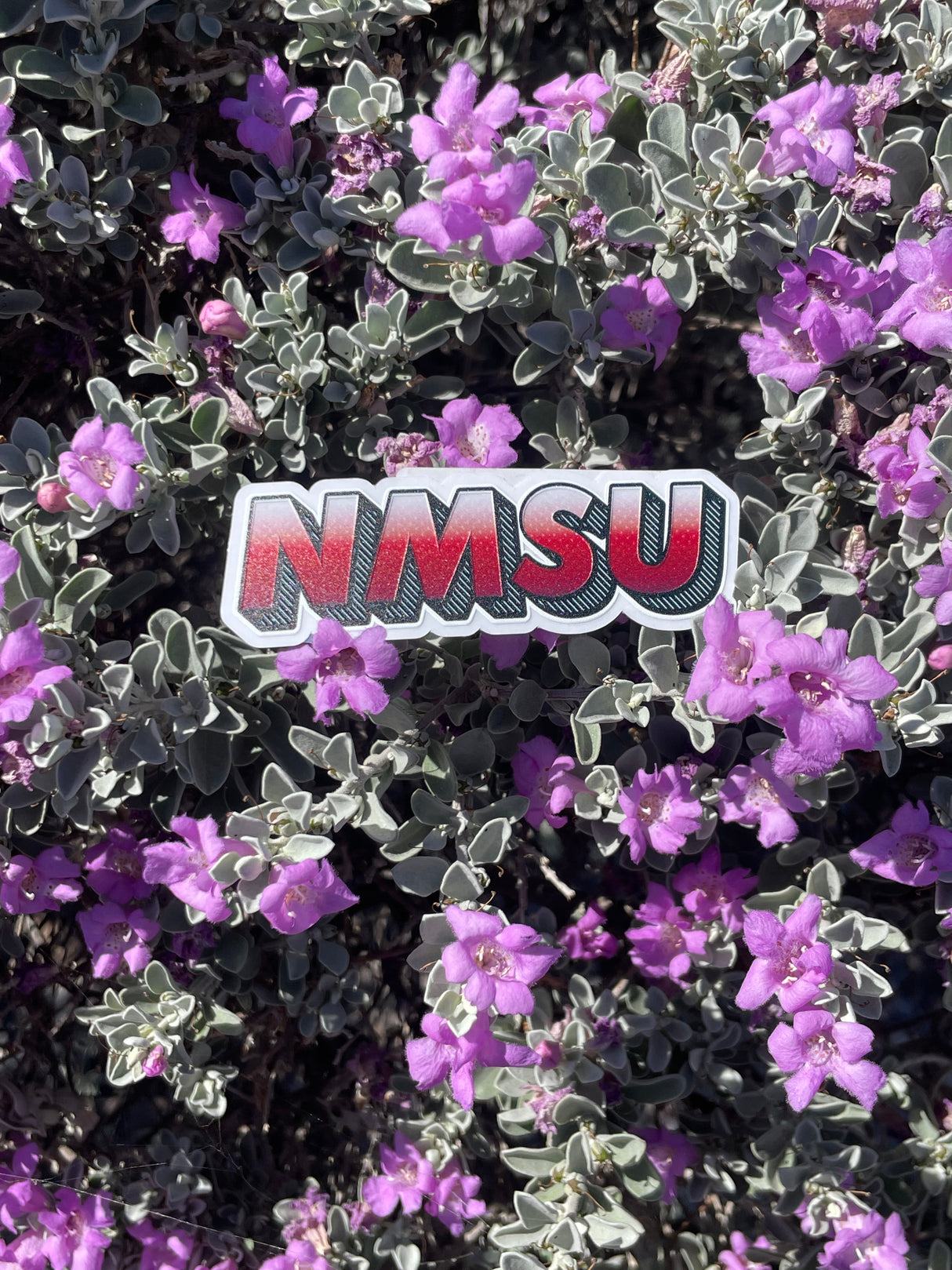 NMSU Decals