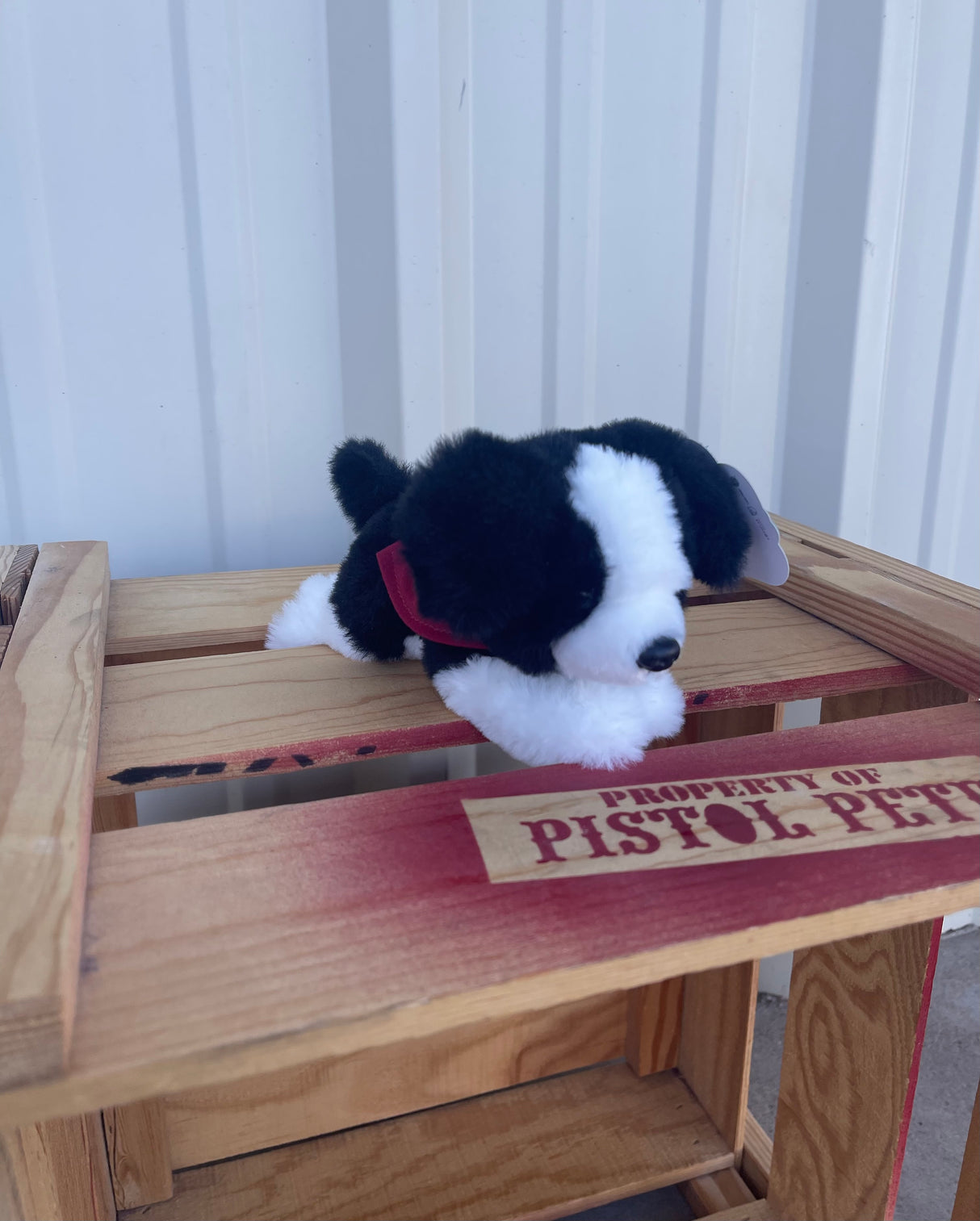 Wave The Wonder Dog Plush