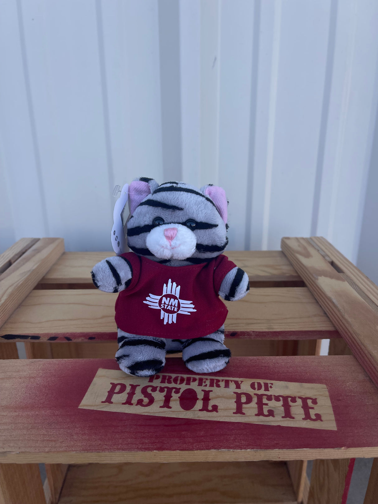 5" NM State Plush Pal
