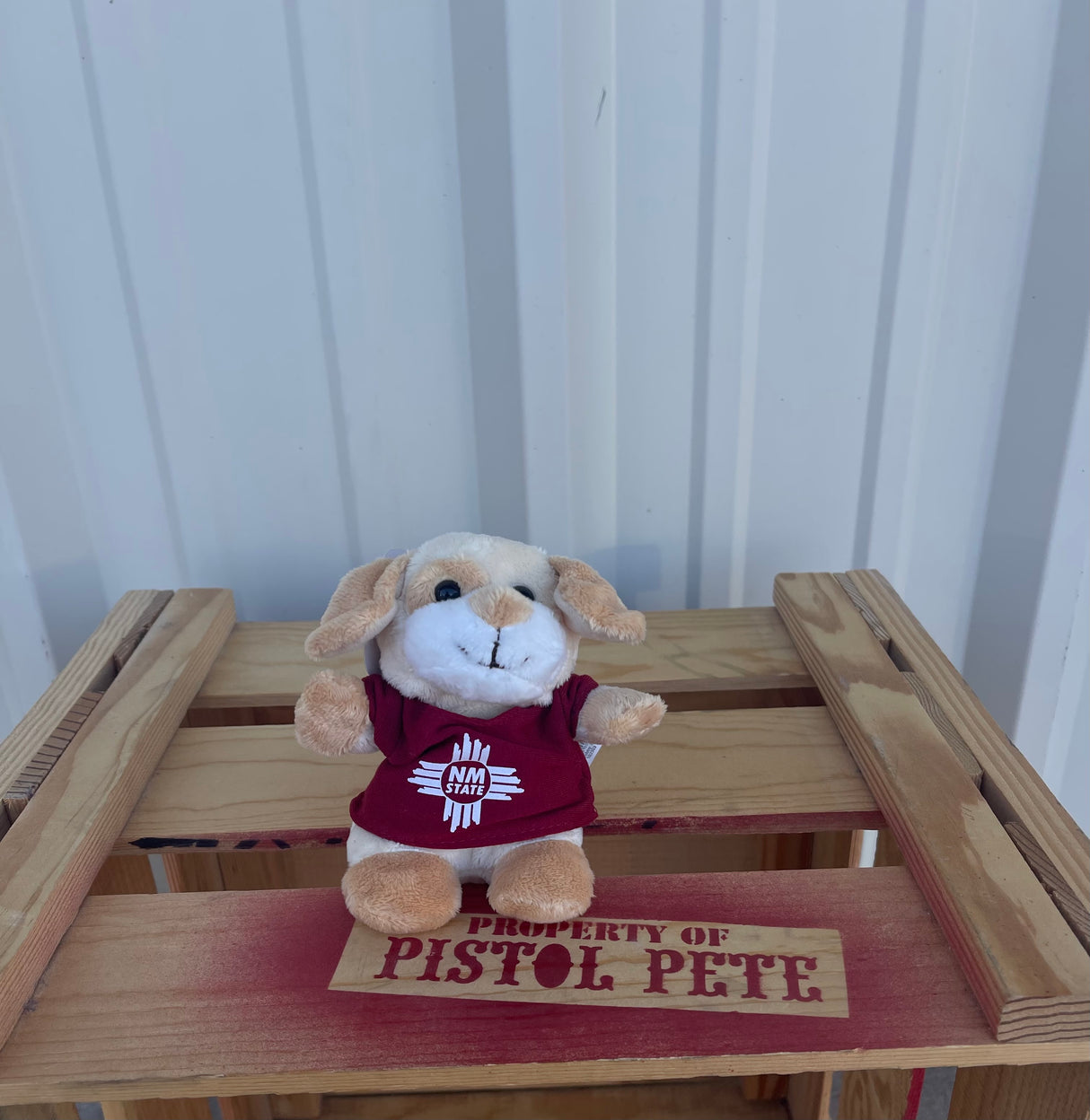 5" NM State Plush Pal