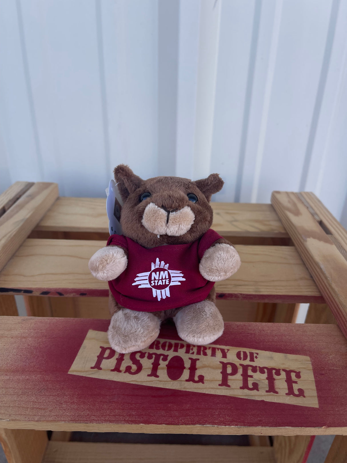 5" NM State Plush Pal