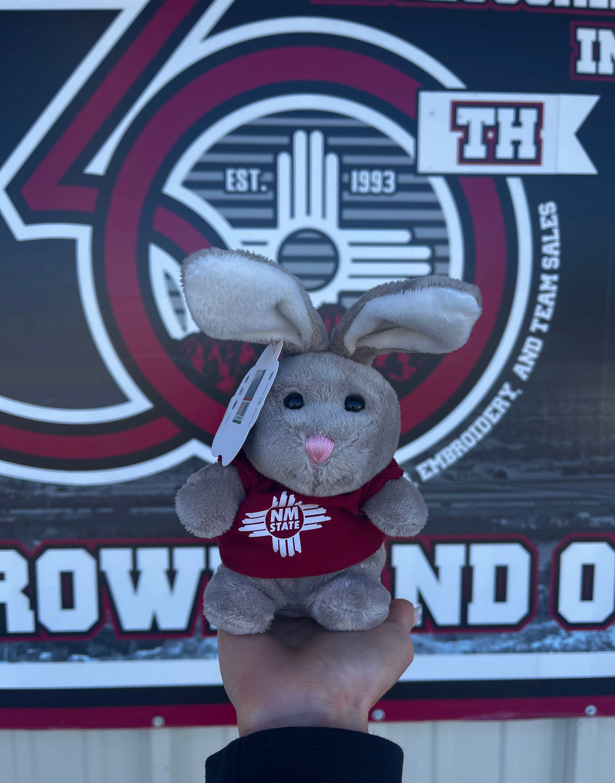 5" NM State Plush Pal