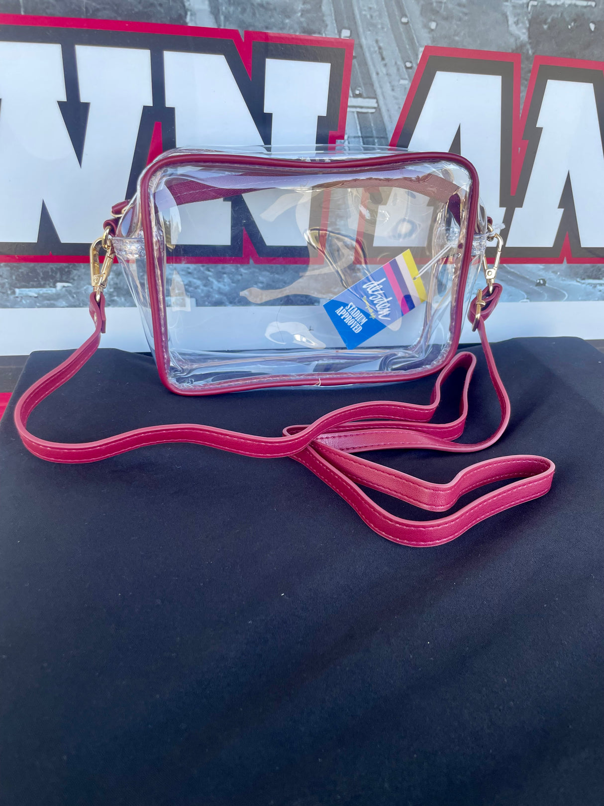 Clear Bridget Purse