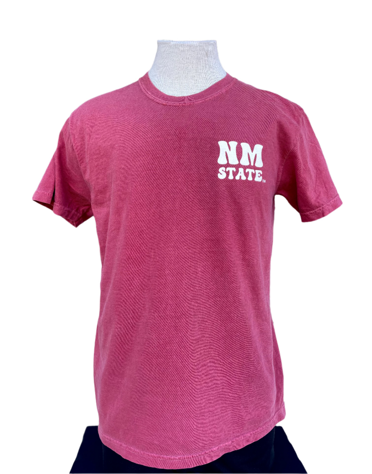 NM State Back Road Bug Tee