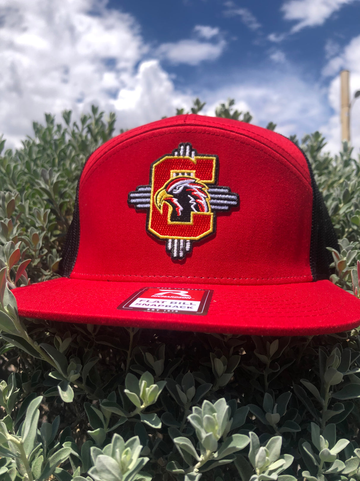 Centennial Panel Trucker