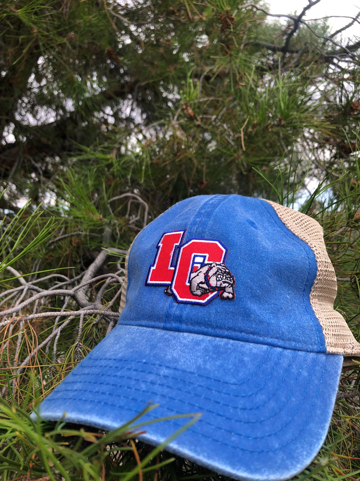 LCHS OTTO ADJ CAP