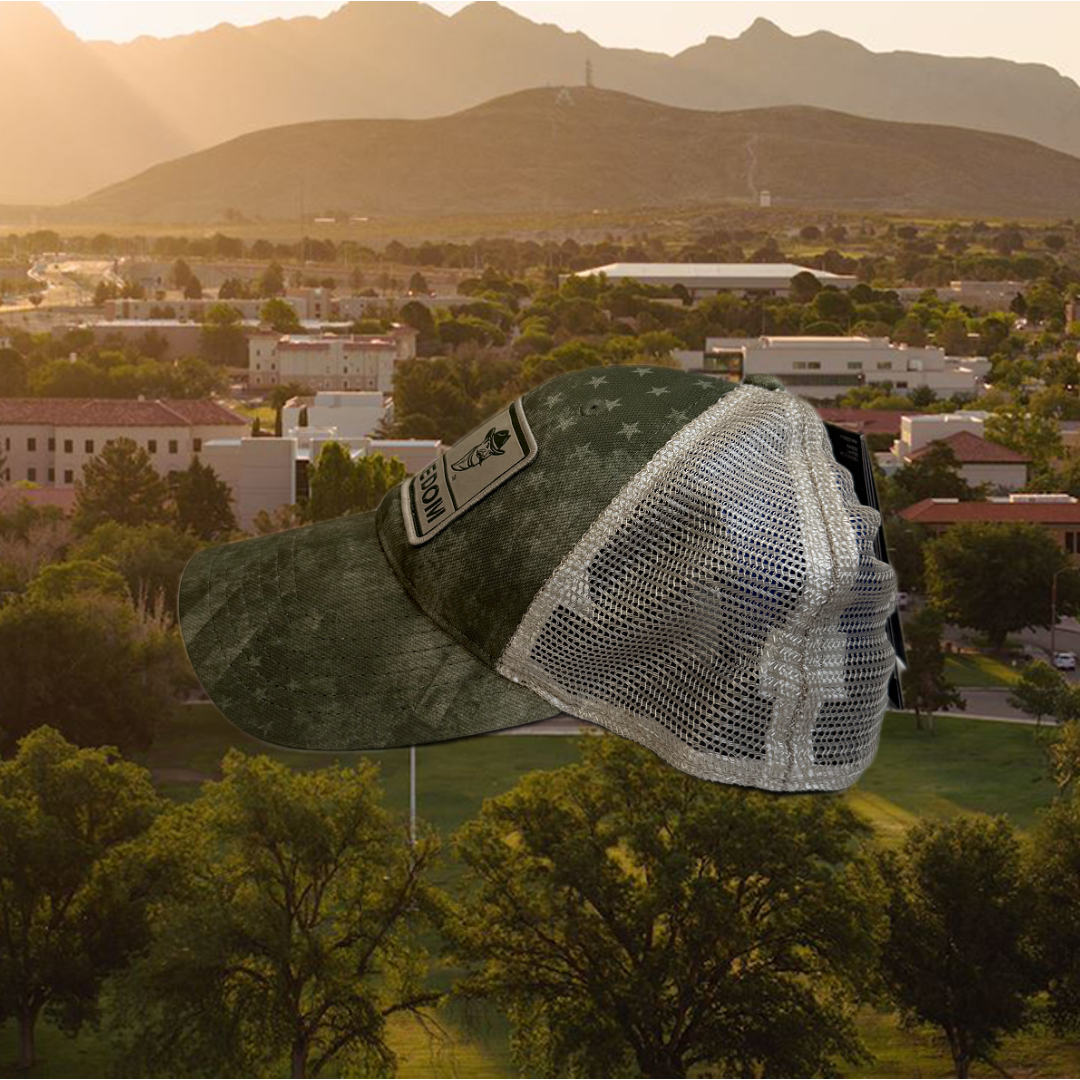 UA NM State Freedom Hat