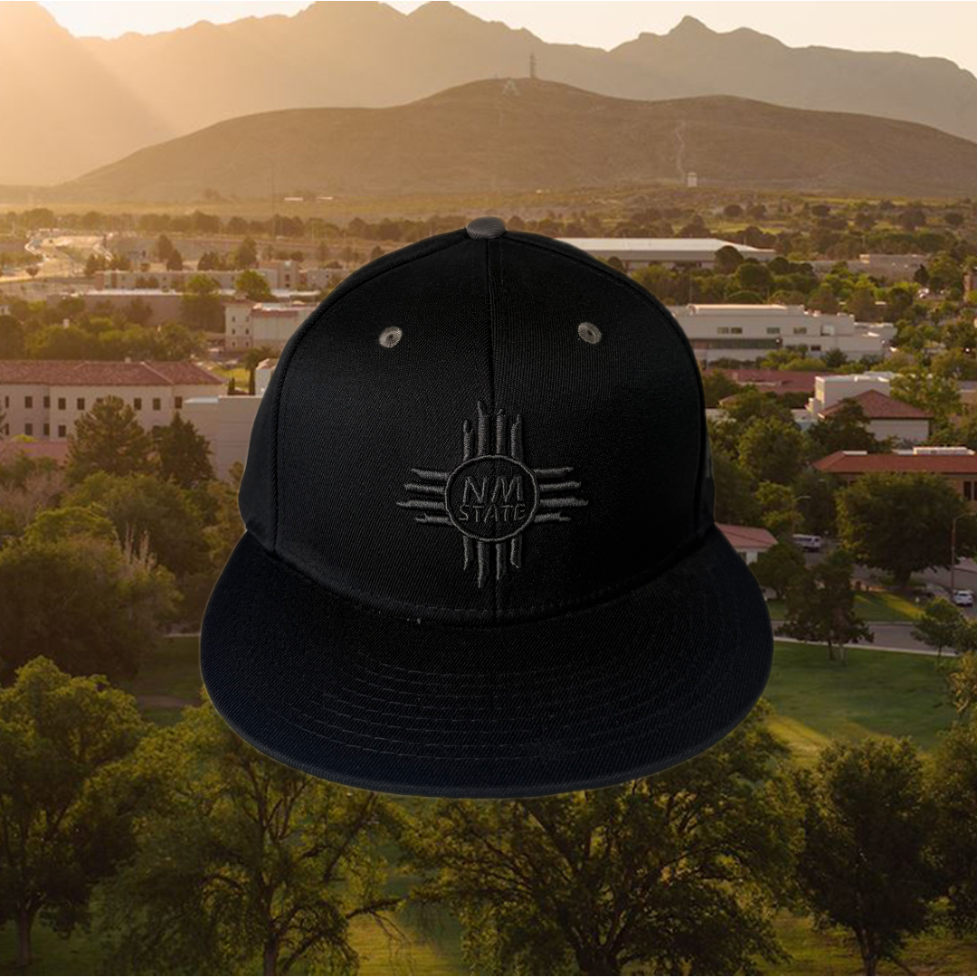 UA NM State Zia On Field Fit Cap