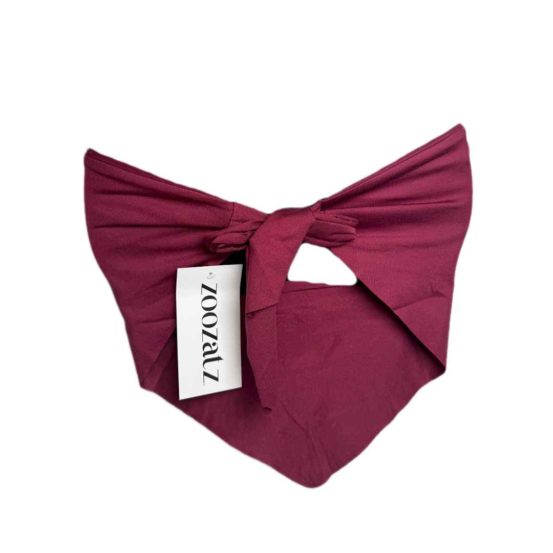 NM State Aggies Bandeau