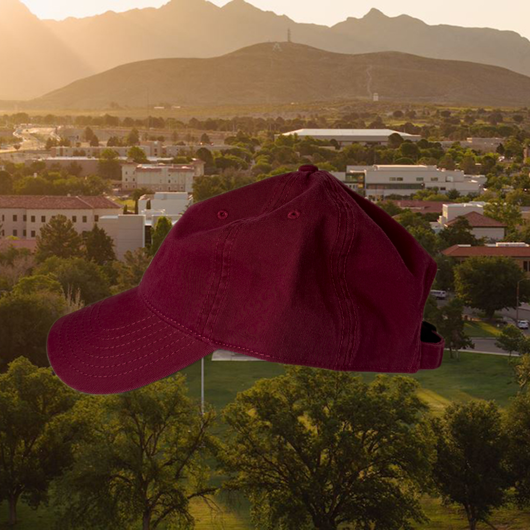 Wave the Wonder Dog Dad Cap