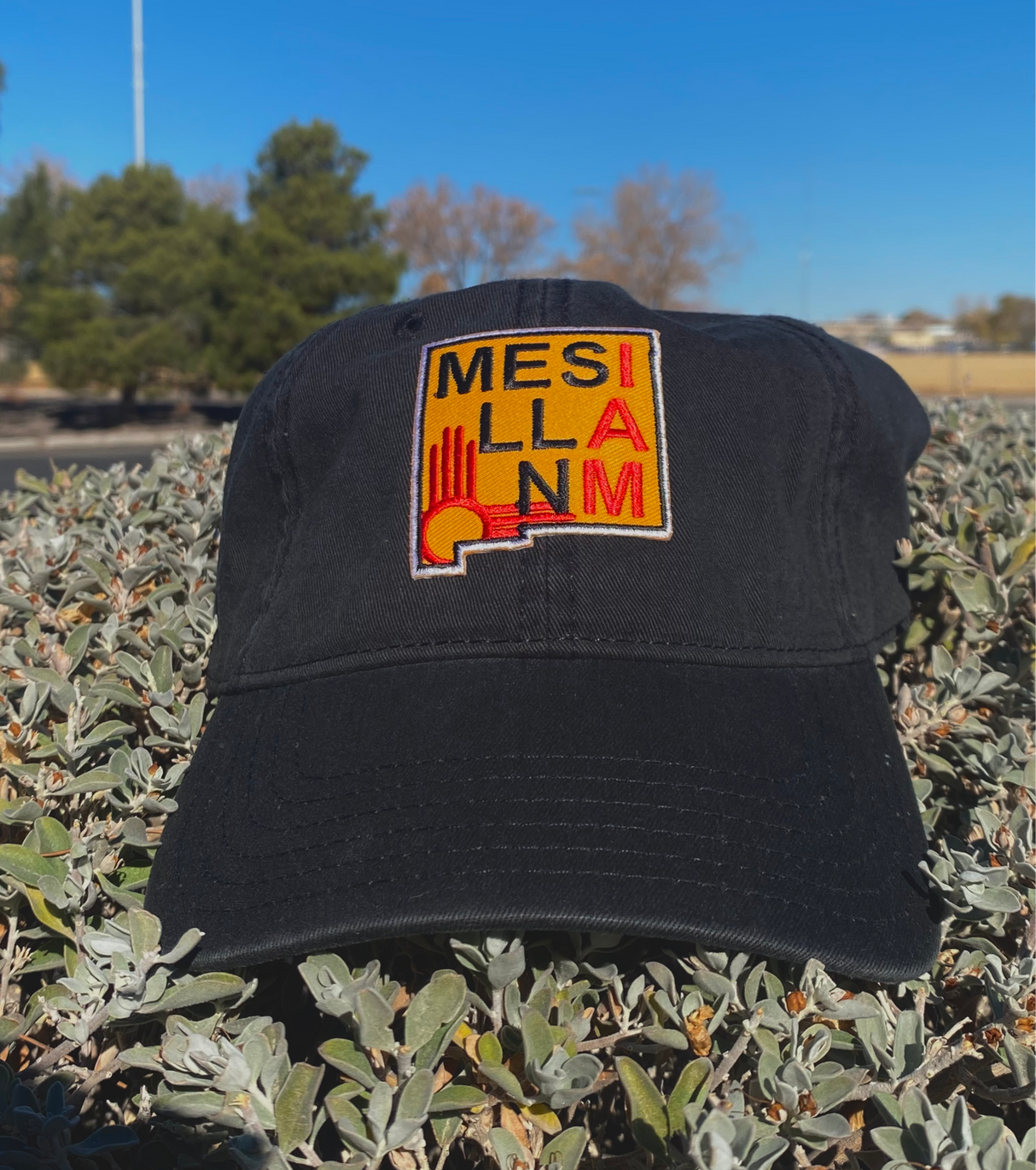 Mesilla I Am Cap