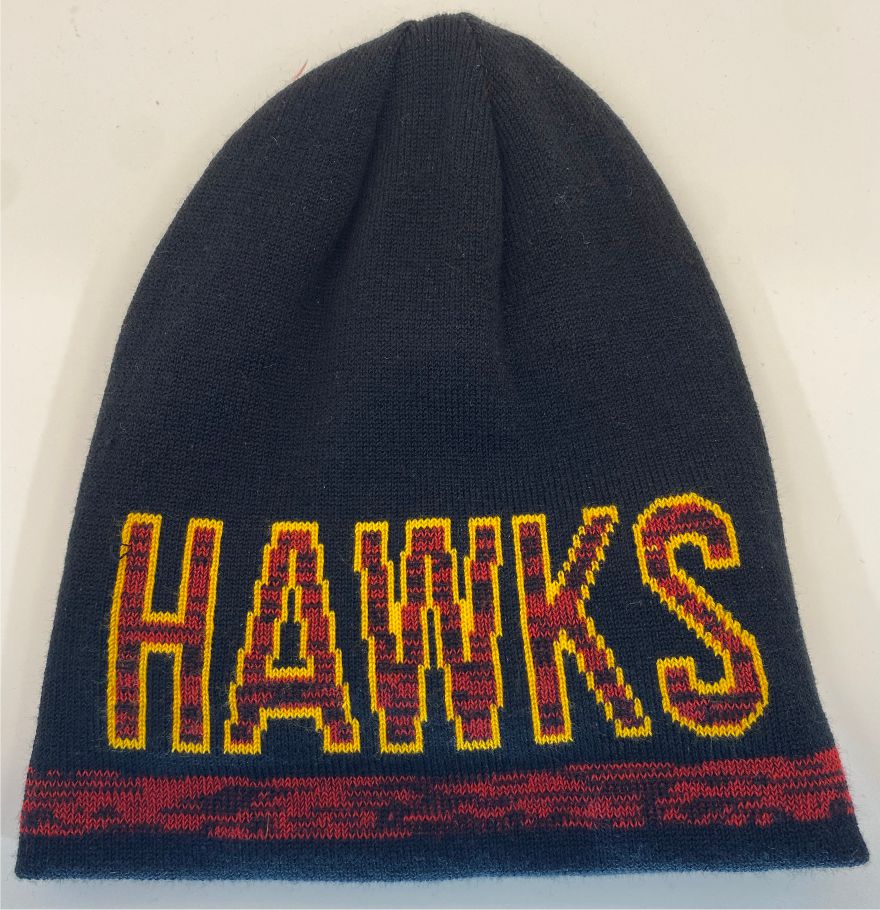 High School Reversible Beanie