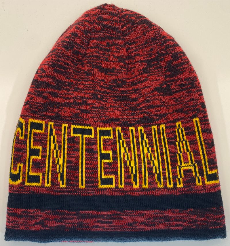 High School Reversible Beanie