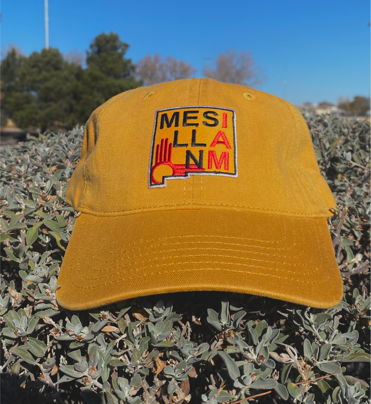 Mesilla I Am Cap