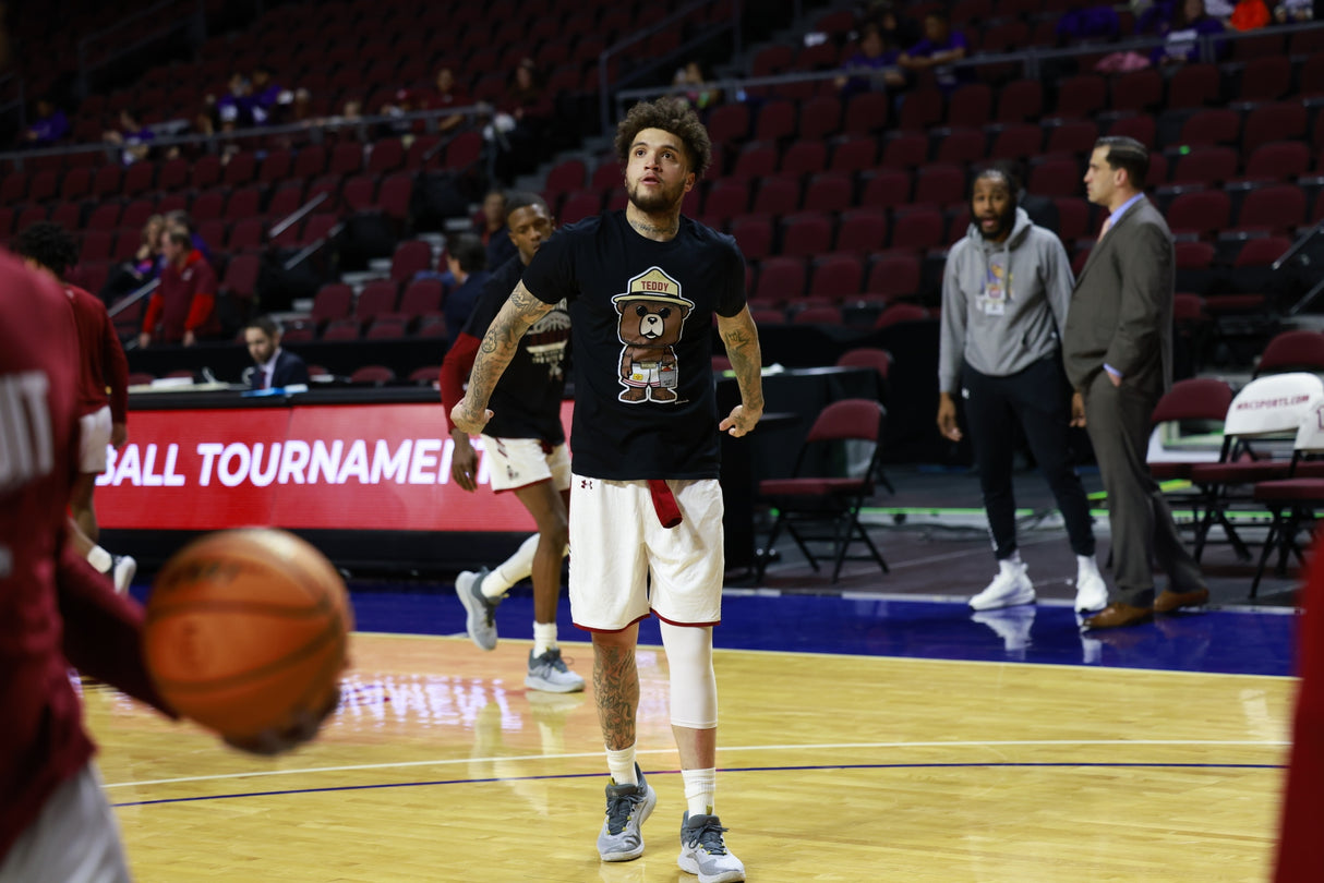 Teddy Buckets DTG Tee