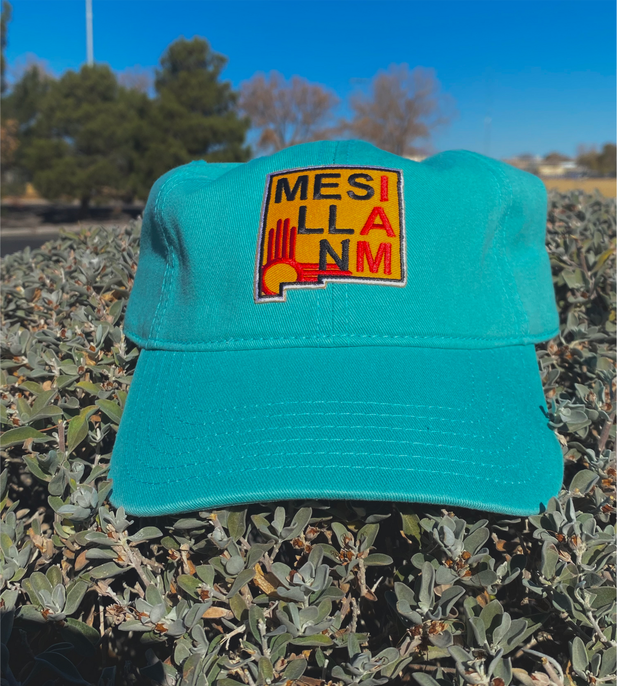 Mesilla I Am Cap