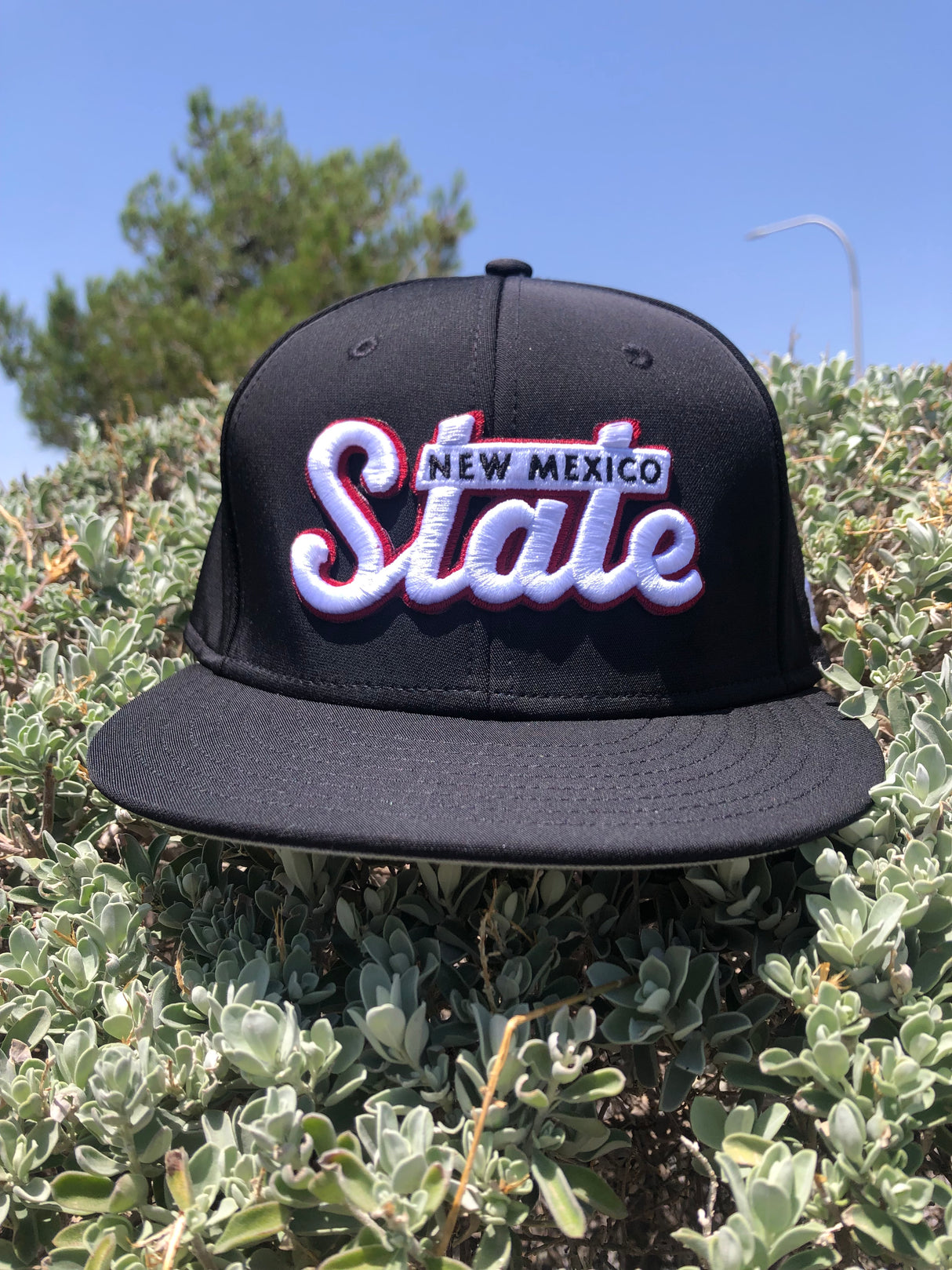 UA Retro NM State Black Flatbill Cap