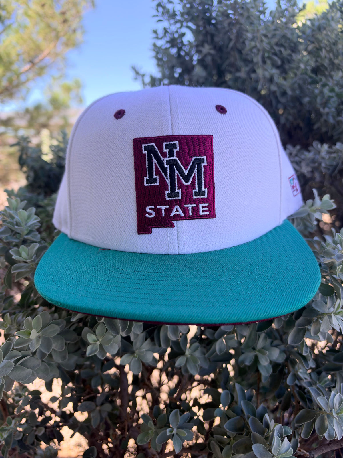 NM State Vault Snapback