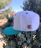 NM State Vault Snapback