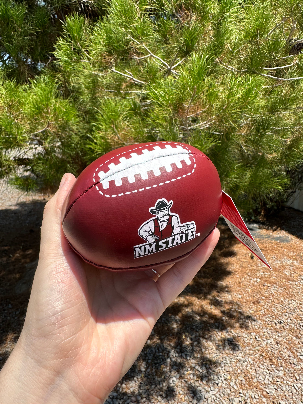 New Mexico State Soft Mini Football