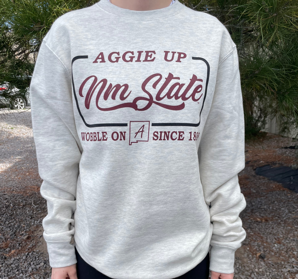 Aggie Up NM State Sweatshirt