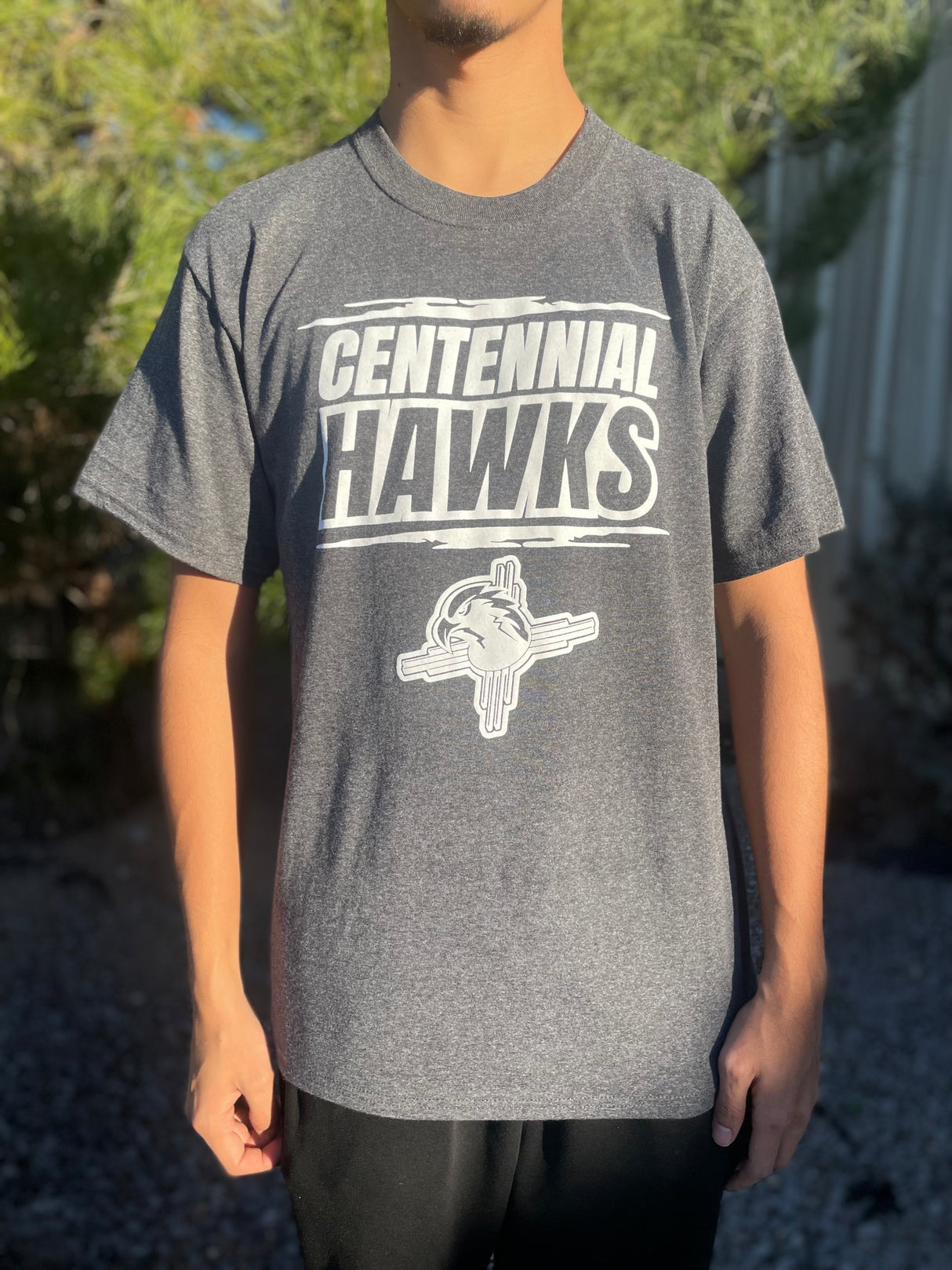 Centennial Hawks Tee