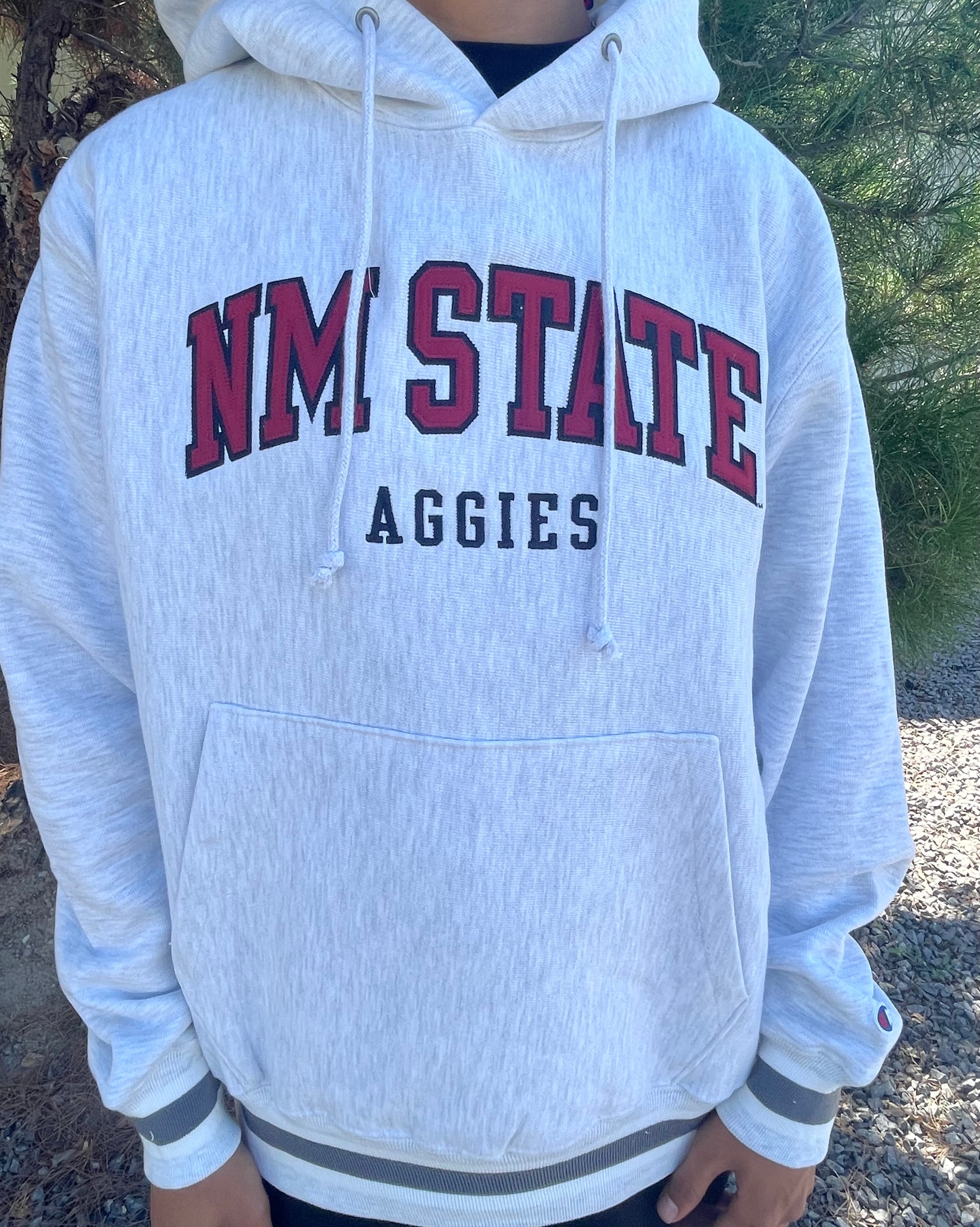 NM STATE HIGHER ED CHAMPION HOODIE