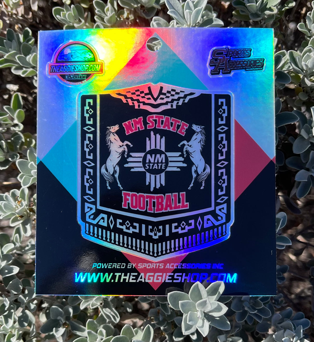 Holographic Poncho Sticker