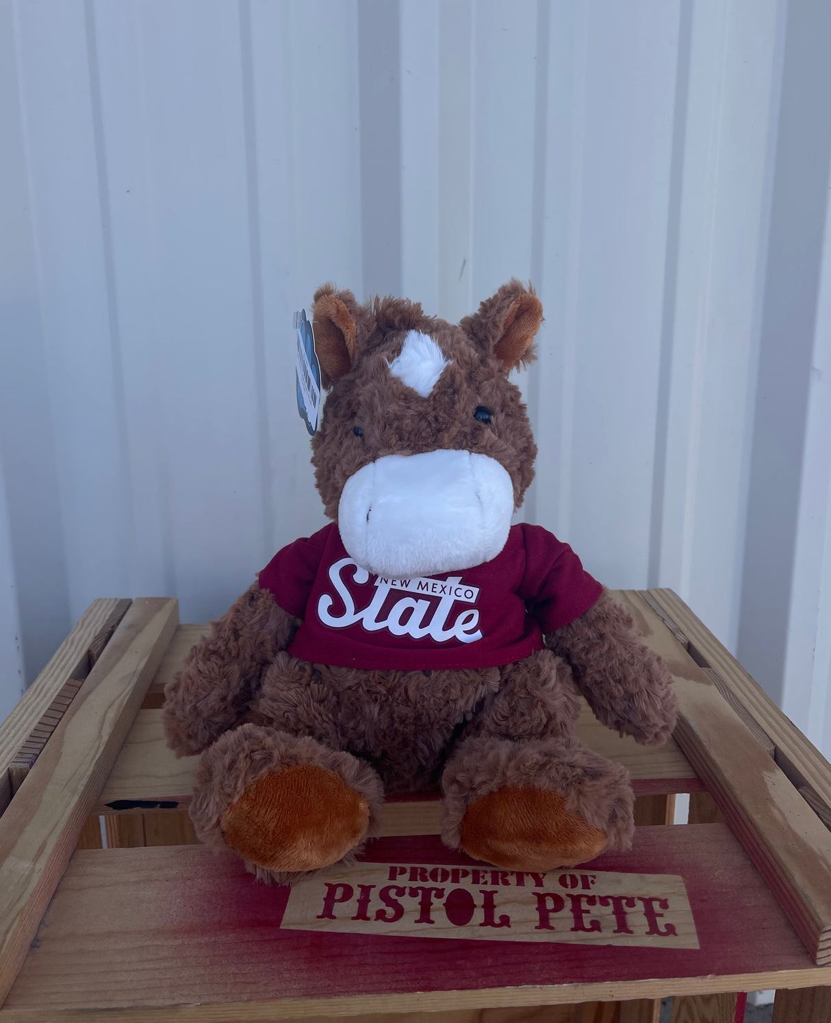 NM State Cuddle Buddy Plush