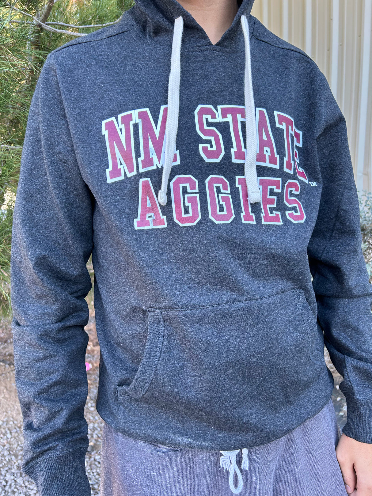 Varsity Letter New Mexico State Hoodie
