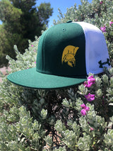 Trojans UA Choice Meshback Hat