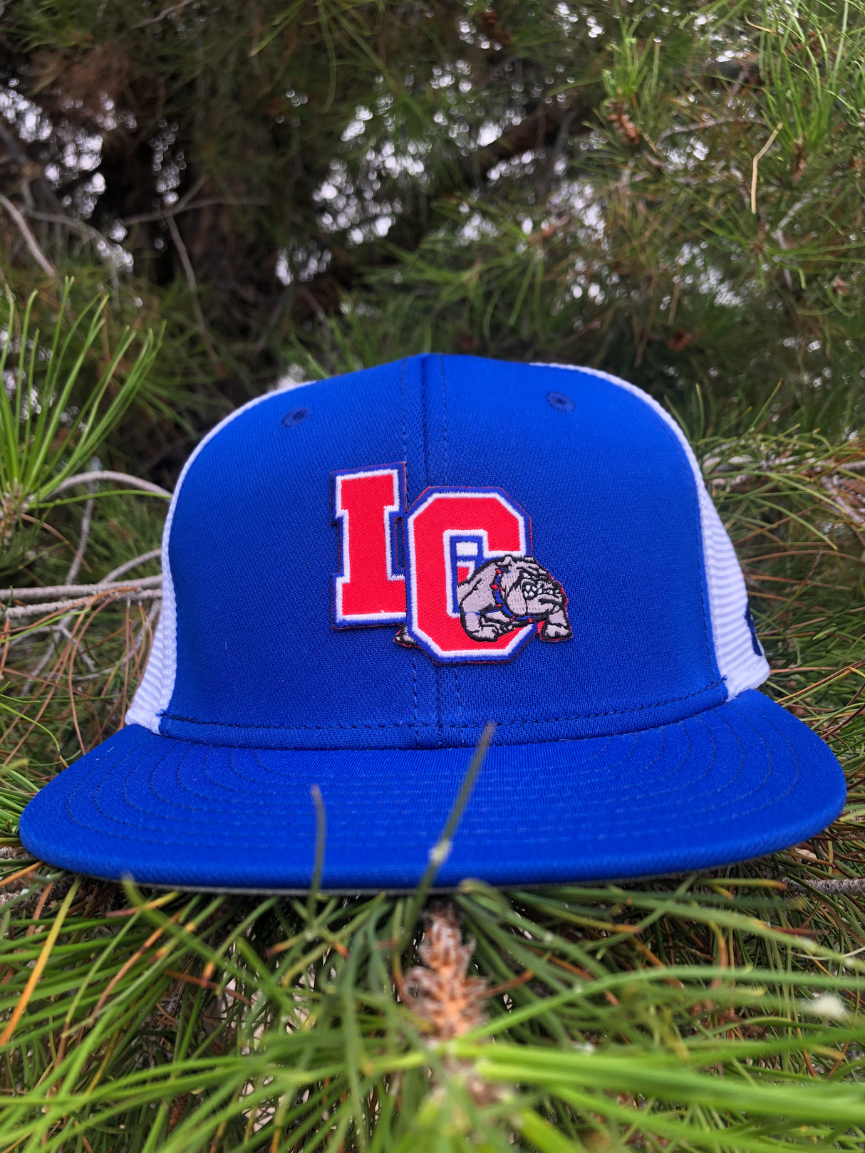 UA LC BULLDAWGS CAP