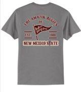 NMSU 1800's Pennant
