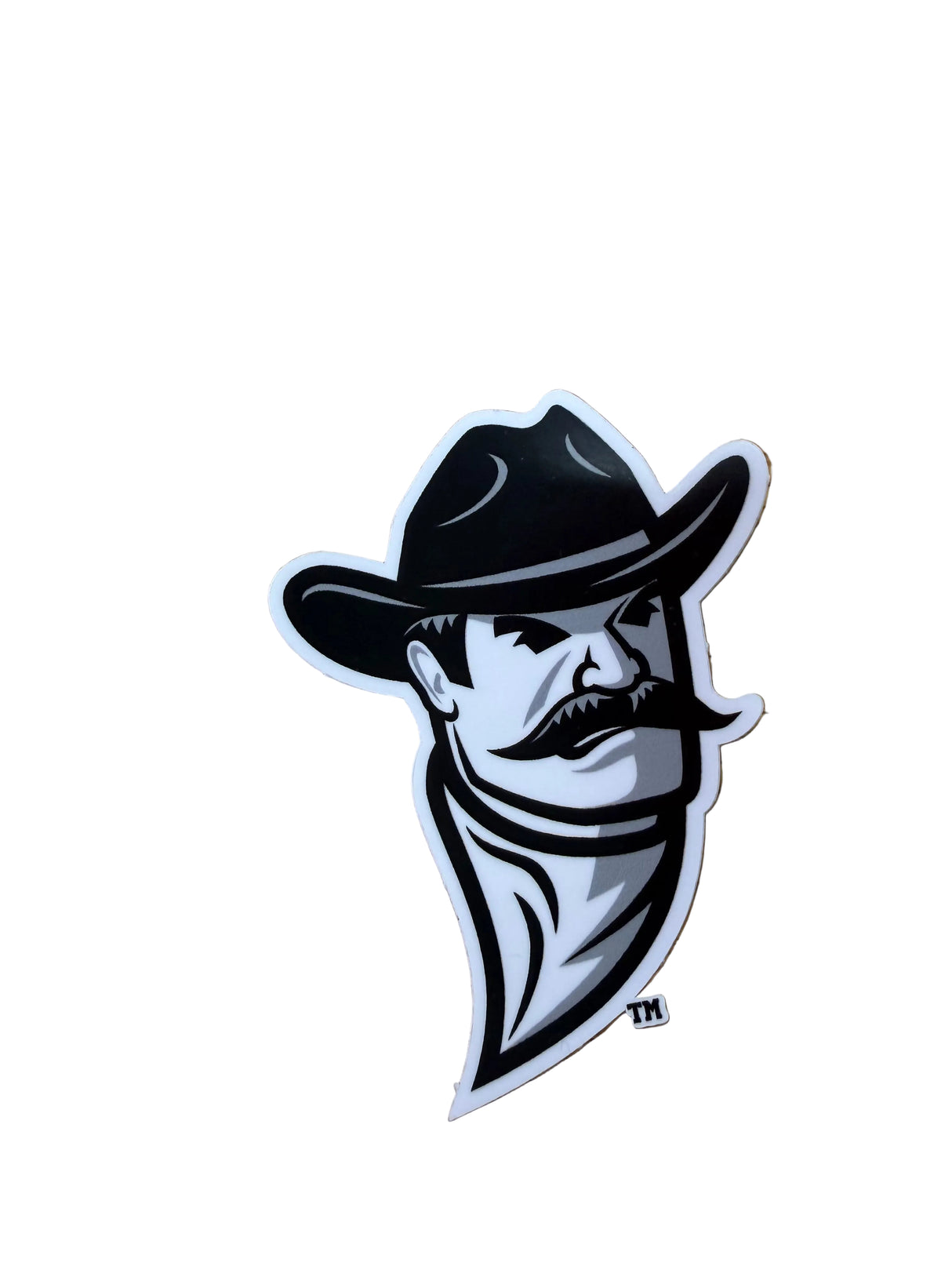 Mini NMSU Decals