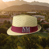 NM State Fedora