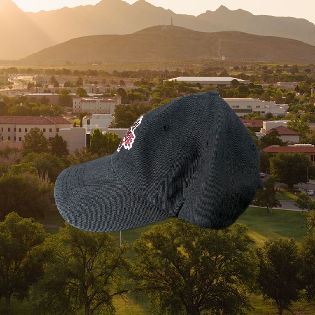 NM State Zia Dad Cap