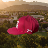 On The Field UA NM State Baseball Cap