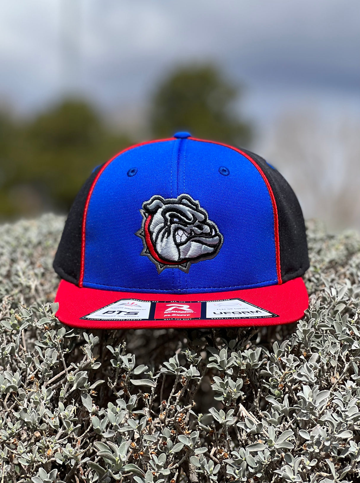 Bold LCHS 3D Bulldawg Fitted Hat