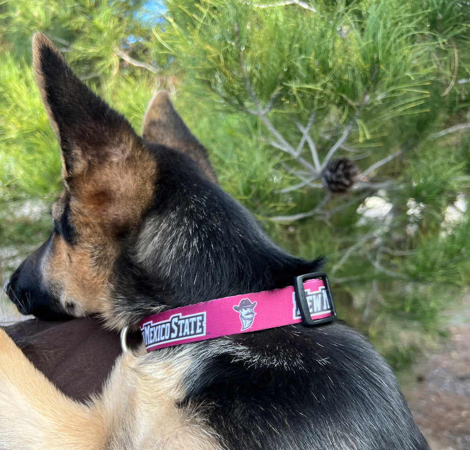 New Mexico State Dog Collar
