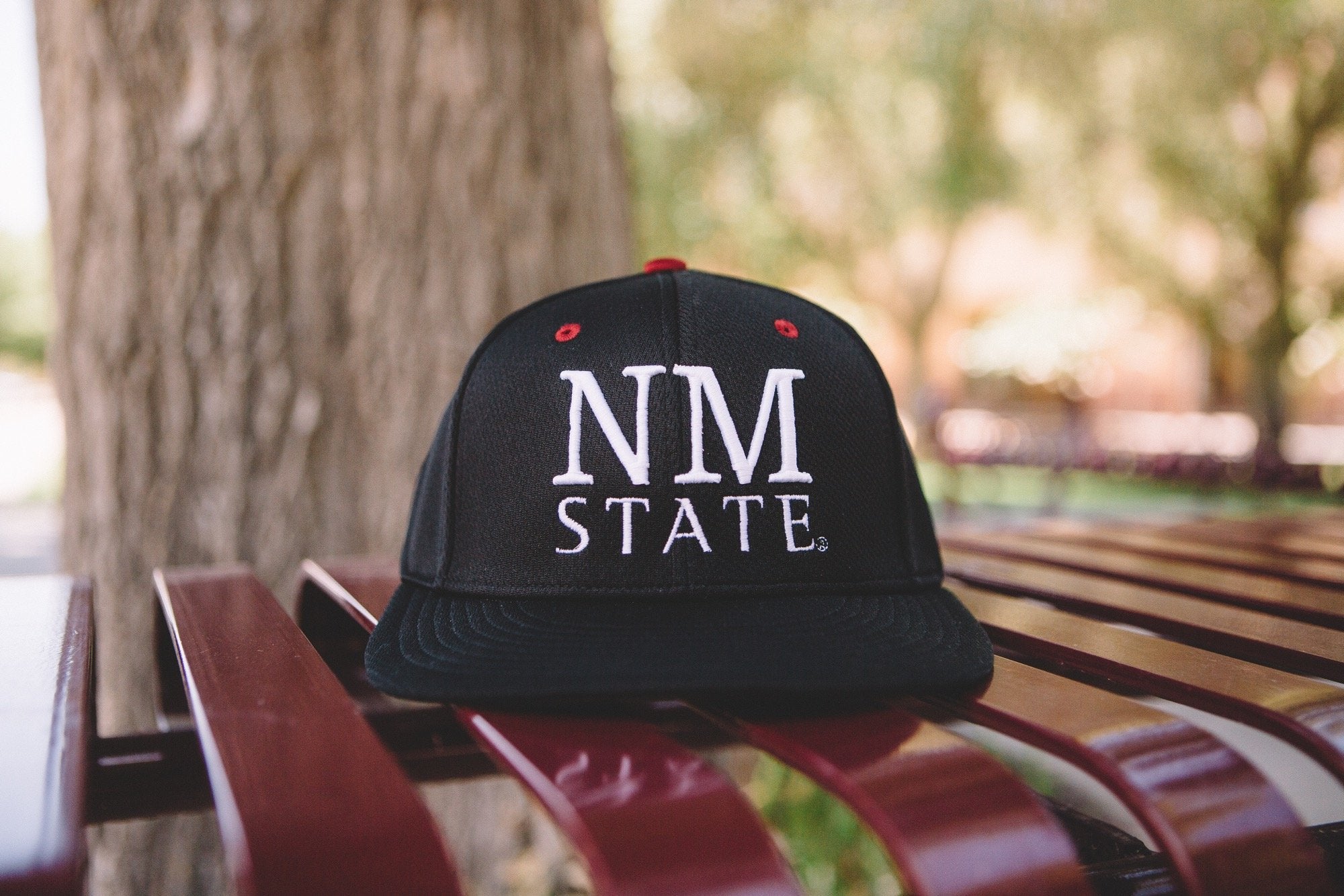 New Era 59Fifty Low Profile NM State Zia Cap